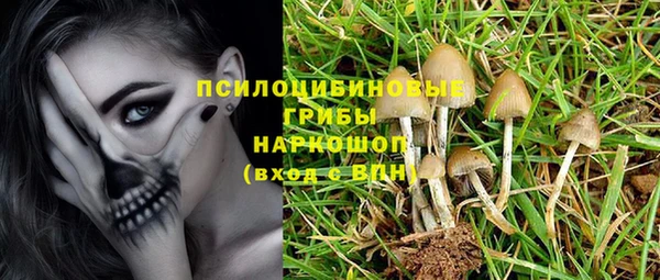 PSILOCYBIN Балахна