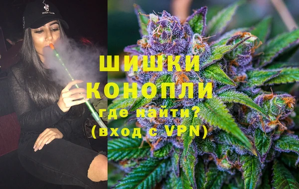 PSILOCYBIN Балахна