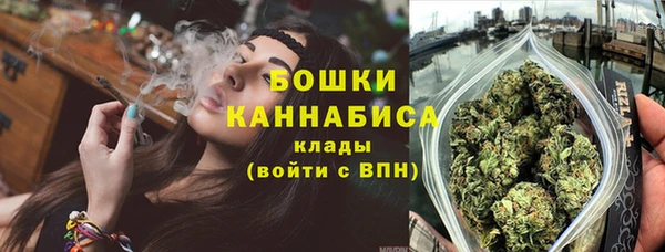 PSILOCYBIN Балахна