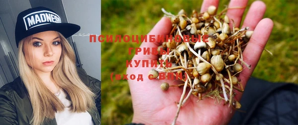 дмт Пересвет