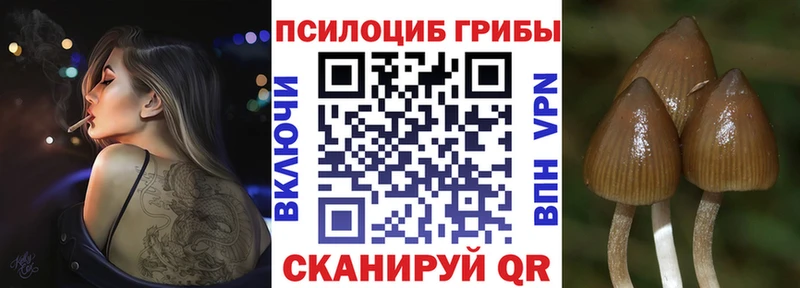 Галлюциногенные грибы MAGIC MUSHROOMS Пересвет
