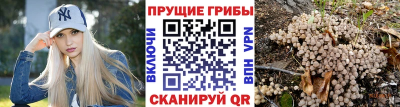 Галлюциногенные грибы мухоморы  магазин  наркотиков  Пересвет 